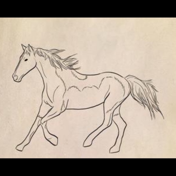 Meet your Posher, Andrew - Picture 1 of 1